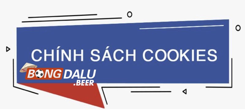 Chúng tôi thu thập thông tin qua cookies để tăng trải nghiệm người dùng