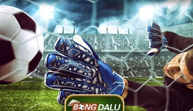 Chúng tôi cập nhật tin tức kết quả bóng đá theo thời gian thực