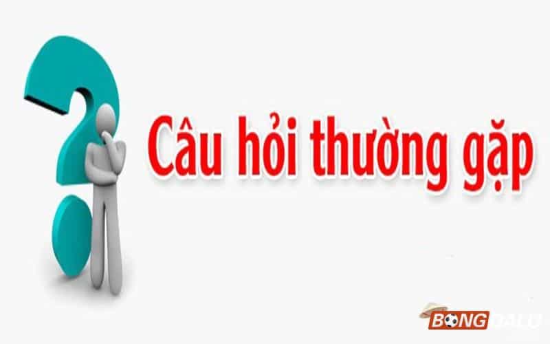 Những câu hỏi thường gặp về nhà cái cá cược 188bet
